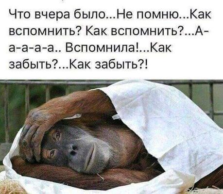 ,   Maksimka, 34 ,   ,   , c 