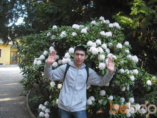  ,   Abror, 37 ,     , c 