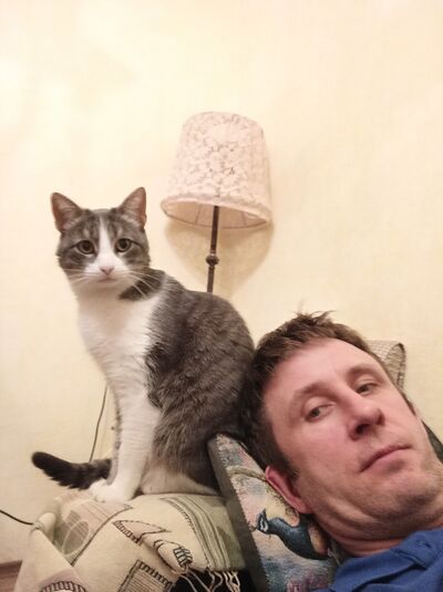  ,   , 46 ,   ,   