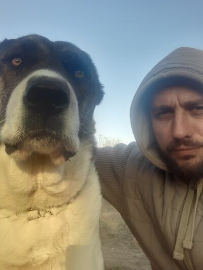  ,   Alexandr, 36 ,   ,   , c , 