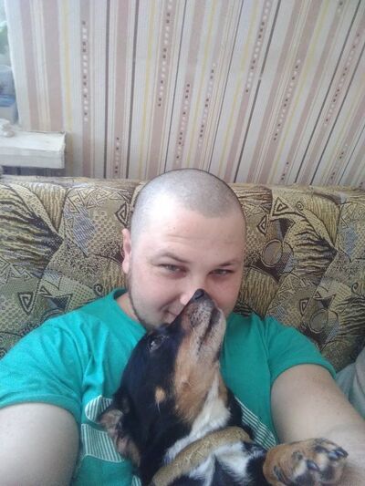  ,   Archi, 31 ,   