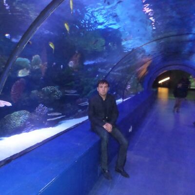  ,   Atham, 31 ,   