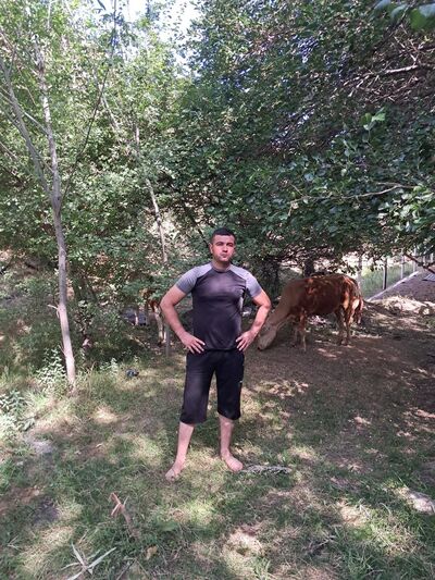  -,   Elyor, 37 ,     , c 