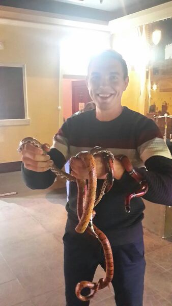  ,   , 37 ,   ,   