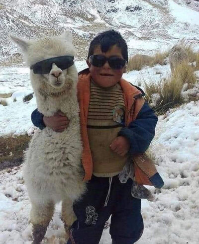  Alanya,   , 23 ,   ,   