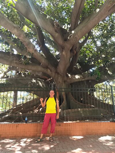  ,   , 56 ,   ,   , c 