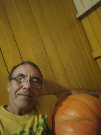  ,   , 61 ,   ,   , c 