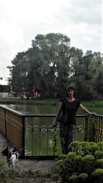  ,   , 54 ,  
