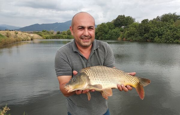  ,   Elvin, 45 ,   ,   