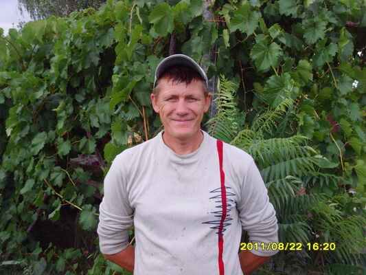  ,   , 54 ,   