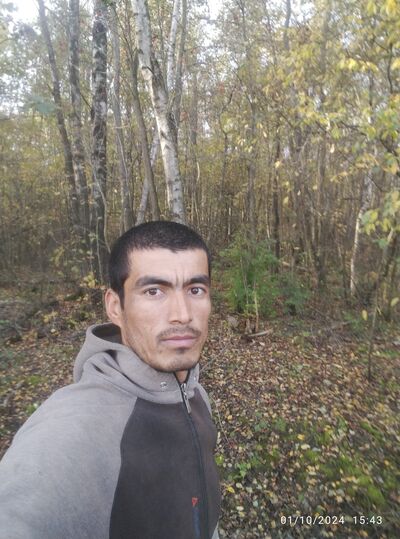  -,   Boyka, 34 ,     , c 