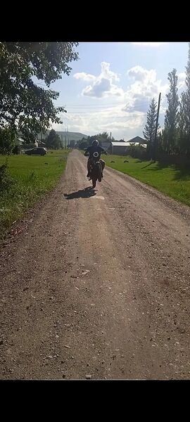 ,   Igor, 20 ,   ,   