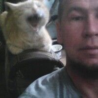  ,   , 55 ,     , c 