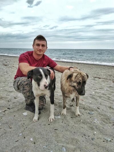  ,   Viorel  vlad, 34 ,   ,   , c 