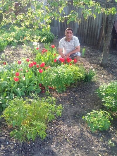  ,   Elman, 44 ,   ,   , c 