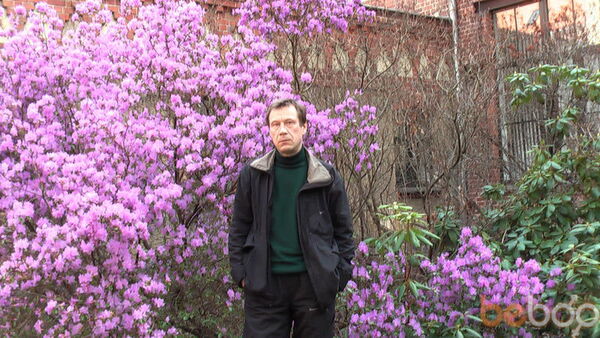  ,   Krot, 61 ,   