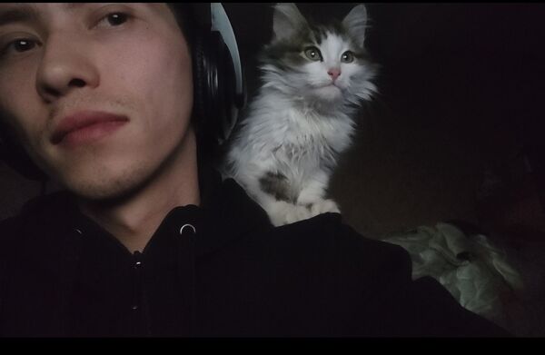  ,   , 28 ,   ,   , c 