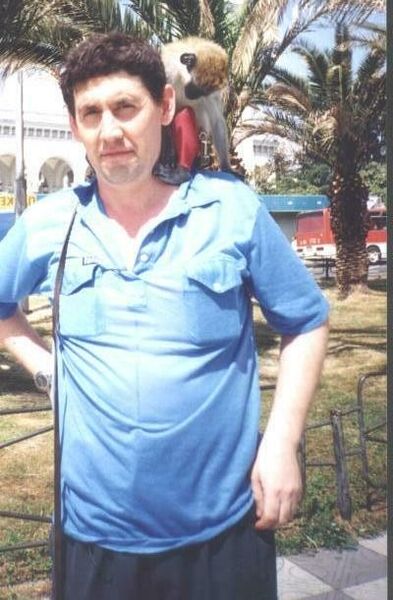  ,   Cccmsf, 60 ,   