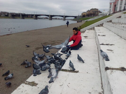  ,   , 39 ,   ,   , c , 