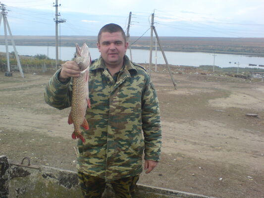  ,   ALEX, 42 ,   ,   , c 