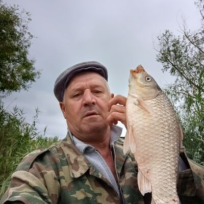  ,   , 51 ,   c 