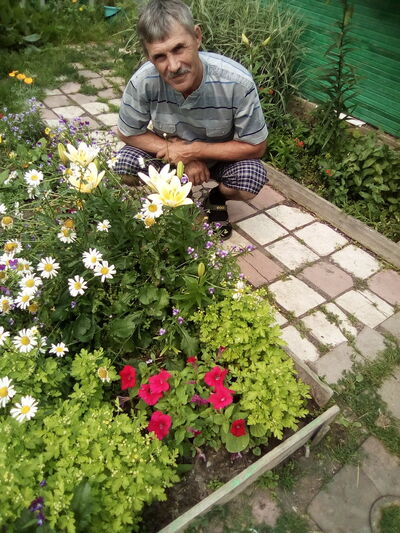  ,   , 61 ,   