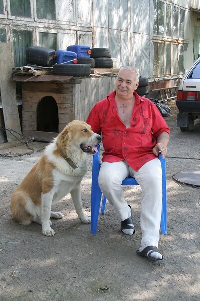   ,   Ntbos, 59 ,   ,   , c , 