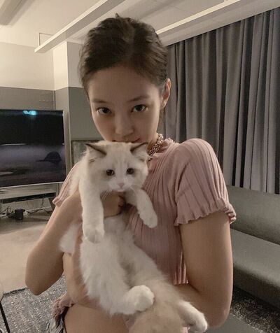  ,    , 27 ,   ,   