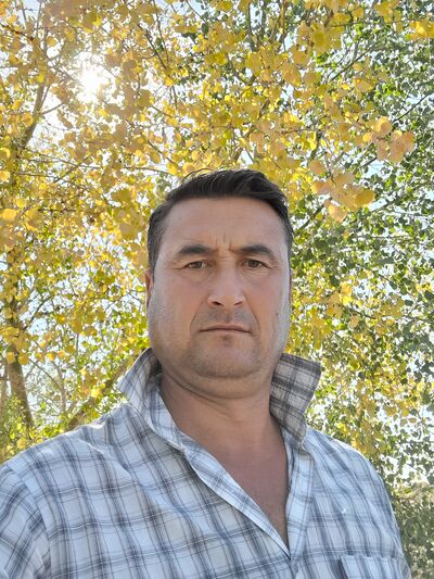   ,   , 41 ,   c 