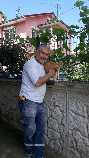  ,   Hayrettin, 56 ,   ,   