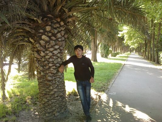  ,   Javlon, 34 ,     , c 