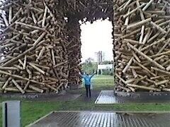 ���������� ��������, ���� ������� ���, 65 ���, ������������ ��� ������, ����� � ���������, c�������� ���������