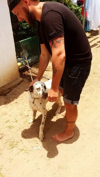  --,   , 38 ,   ,   , 