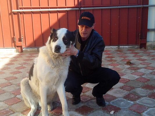  ,   Igor, 47 ,   ,   , c , 