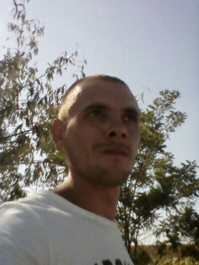  ,   , 31 ,     , c 