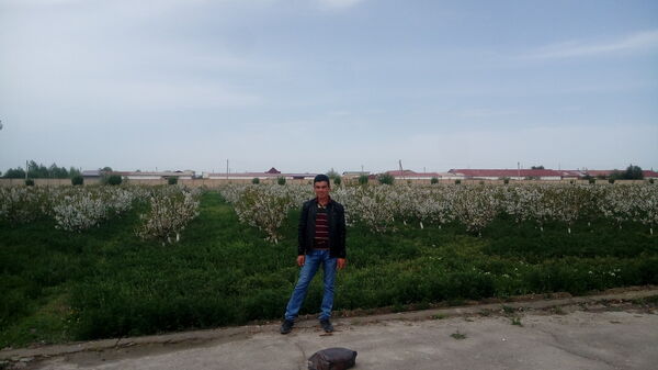  ,   Mirshod, 34 ,   ,   , c 