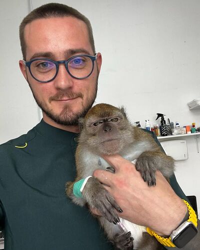  Southwark,   , 32 ,   ,   