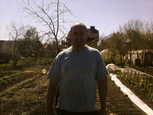   ,   , 49 ,   