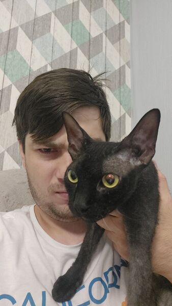  ,   David, 29 ,   ,   