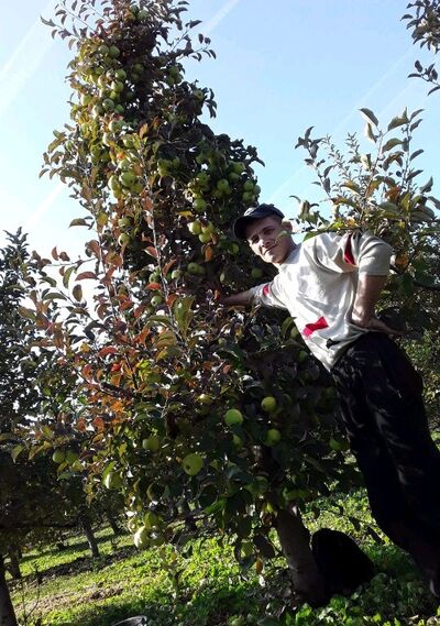  ,   , 38 ,   ,   
