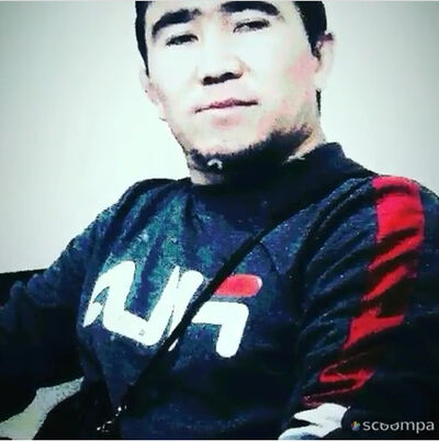  ,   Zamir, 31 ,   ,   , c 