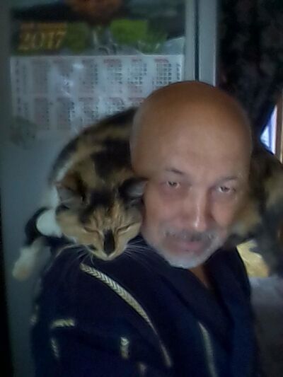  ,   , 74 ,   ,   