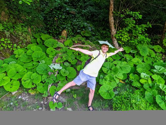  ,   , 41 ,   ,   , c , 