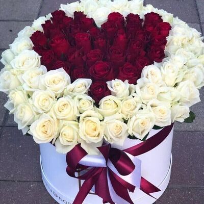  ,   Rashidbek, 31 ,   ,   