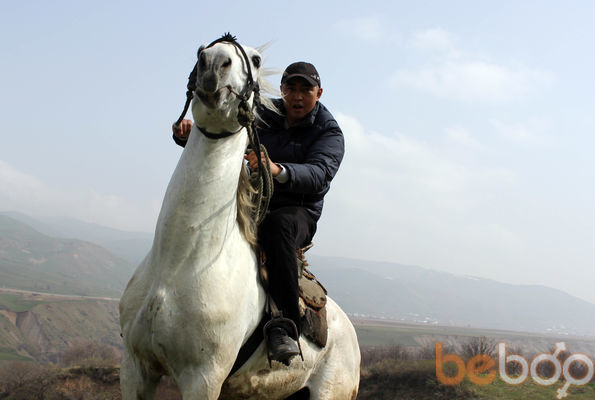  ,   Almaz, 43 ,   