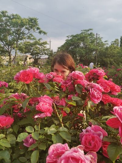   ,   , 27 ,   c , 