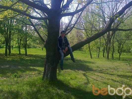  ,   Costelush, 36 ,     , c 
