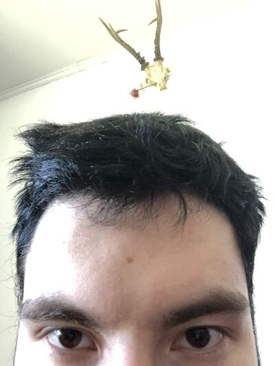  ,   , 21 ,   , c 