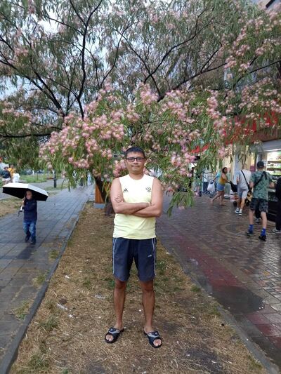 ,   BEK, 44 ,   ,   , 