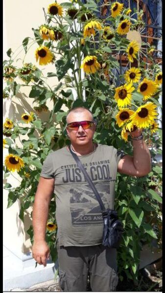  -,   , 50 ,   ,   